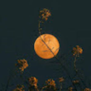 Meet your Posher, Autumn